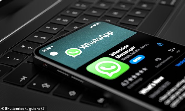 WhatsApp is one of the most popular encryption apps that offers end-to-end encryption that keeps calls, messages, and other data private from anyone, including the app itself.